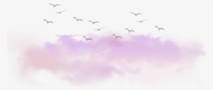 Clouds Cloud Birds Tumblr Kawaii Ftestickers - Clouds Tumblr Png