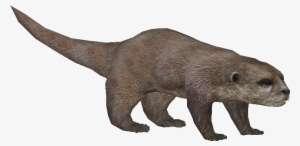 Asianotterludo - Zoo Tycoon Otter Png