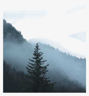 Land Of The Lost - Mist