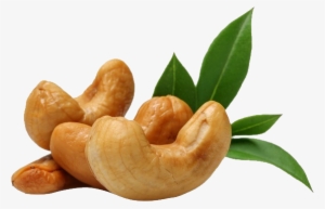 Cashew Nut Png - Cashew Nuts Icon Png