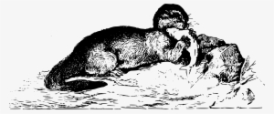 Otter Png