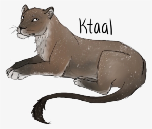 Image And Video Hosting By Tinypic - Lion