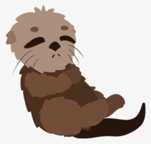 3 - Shih-poo