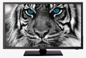 Ledtv 24d1t1 Ledtv Front - Estar D1t1 32 Inch Led Tv Hd 8 Kg