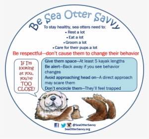 Sea Otter Savvy