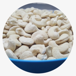 Our Quality And Infrastructure - Keshar Cashewnuts