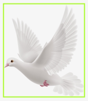 Fascinating Doves Preobrazovannyj Png Clip Art Album - Communication With Pigeon