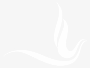 Banner Transparent Download Murhozeta Sorority Incorporated - Zeta Phi Beta White Dove