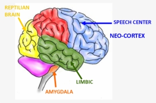 Let's Put All Of This Into Context Imagine You Are
