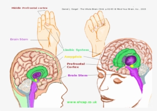 Take A Look At Downloadable Emotion Resources For Using