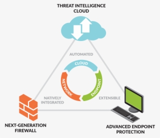 Fundamental Shifts In Application Usage, User Behavior,