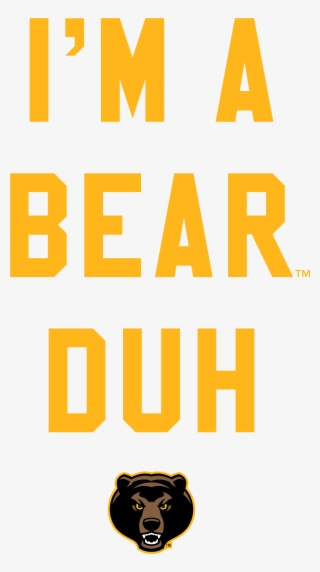 Official Ncaa Baylor University Bears