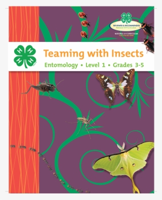 Entomology Curriculum