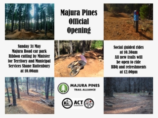 Majura Pines Trail Alliance And Act Parks And Conservation