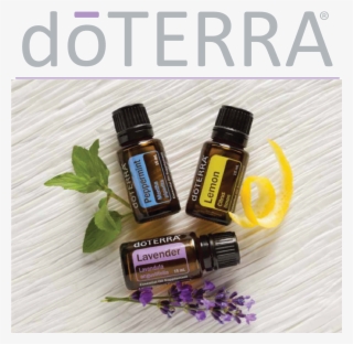 Doterra Oils Were Some Of The First Oils I Used In