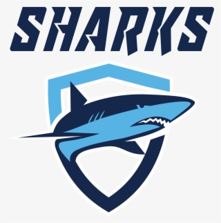 Sharks Swim Club