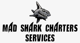 At Mad Shark Charters We Realize That Each Guests Experience