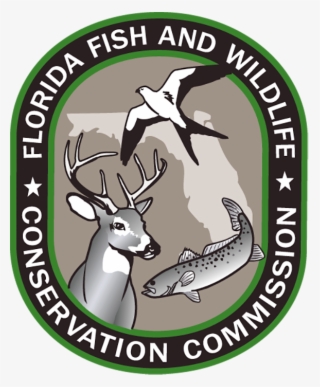 Tnc Logo Fwc Logo