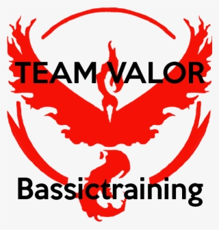 Team Valor Logo Png