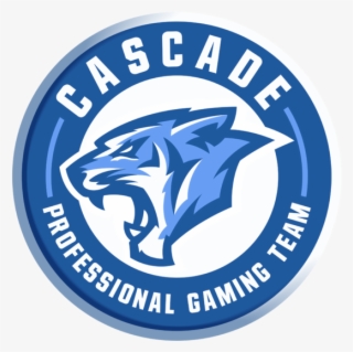 Team Information
