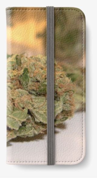 Fire Cookies Kush 420 Dank Cannabis Buds