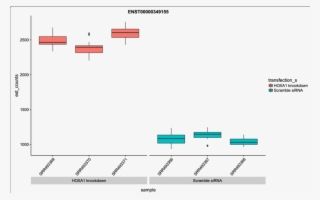 Transcript Abundances For The Diffeial Isoform Of The