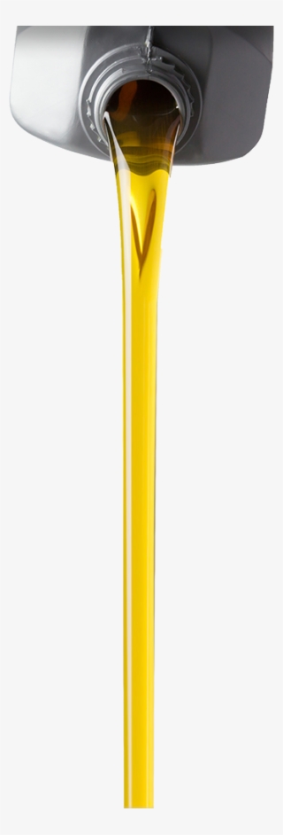 If Your Kia Is Due For An Oil Change, Schedule An Appointment