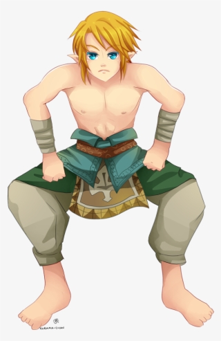 Zelda Twilight Princess