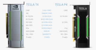 The Tesla T4 Is Packaged In An Energy Efficient 75