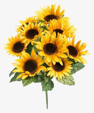 Girasoles