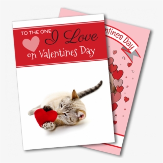 Next Day Card Delivery