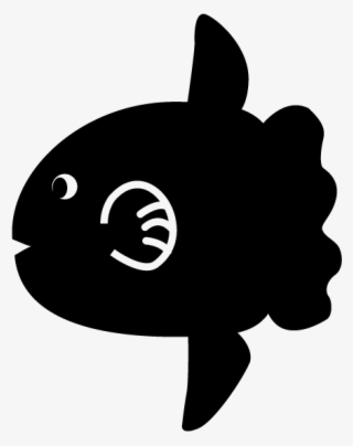 Aquarium / Fish