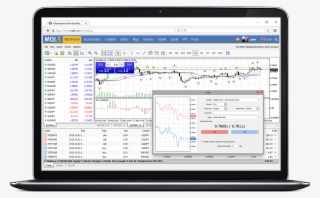 Web Trading With Metatrader