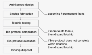 Synthesis Of Application Specific Fault Tolerant Digital