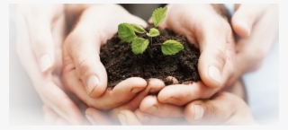 Planting Communities, One Seed At A Time