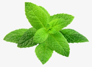 Peppermint Png