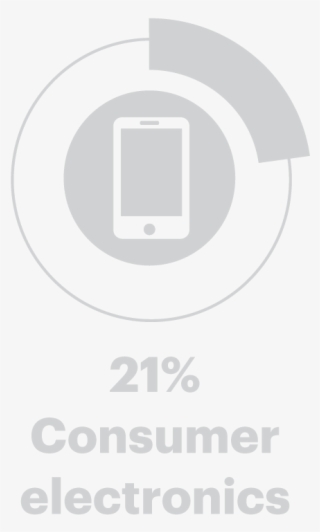 21% Consumer Electronics