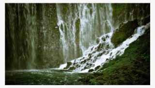 Green Wall Png