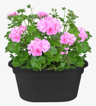 Home > Collection > Green Basics Wall Basket