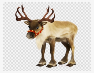 Rudolph The Red Nosed Reindeer Png