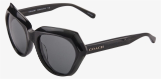 Coach Womens Sunglasses Hc8193 542487 Dark Grey Glitter