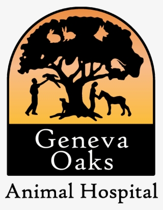 Welcome To Geneva Oaks Animal Hospitalquality Care