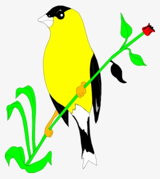 How To Set Use Goldfinch On A Flower Stem Svg Vector