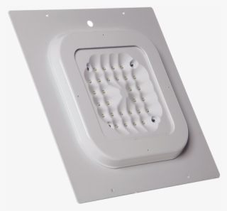 Canopy-100w