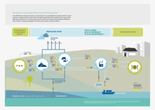Phosphorus And Nitrogen Flows And The Eu Food System