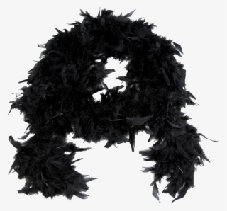 Feather Boa Png Image Background
