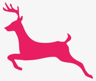 Download Png