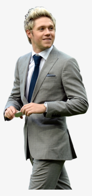 Niall Horan 2016 Png