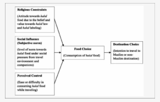 Relationship Between Attitude And Subjective Norm Towards