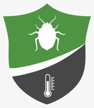 Bed Bug Heat Treatment